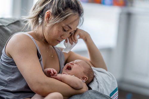 A crise dos 8 meses - Mustela Brazil - 1