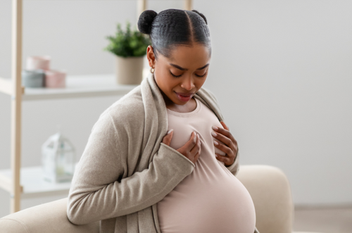 Mulher grávida sentada em sofá com as duas mãos sobre seus seios. - Mustela Brazil - 1