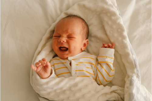 Bebê chorando irritado sobre uma cama, enrolado em uma manta. - Mustela Brasil - 1