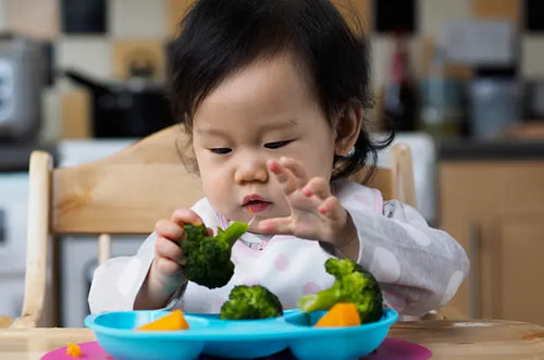 Bebê em mesa pegando brócolis com as mãos. - Mustela Brasil - 1