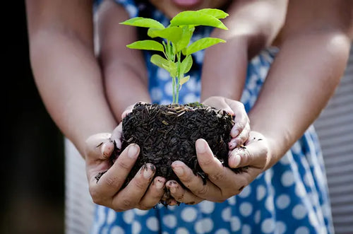 Criança e mulher seguram muda de planta. - Mustela Brasil - 1
