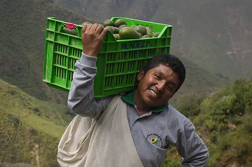 Semana do Meio Ambiente: como ser mais sustentável em 5 passos - Mustela Brasil - 1