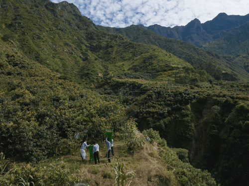 2023_MULTI_PURPOSE_BALM_V2_PERU_CAMPAIGN_PICTURES_HARVEST_47 - Mustela Brasil - 1