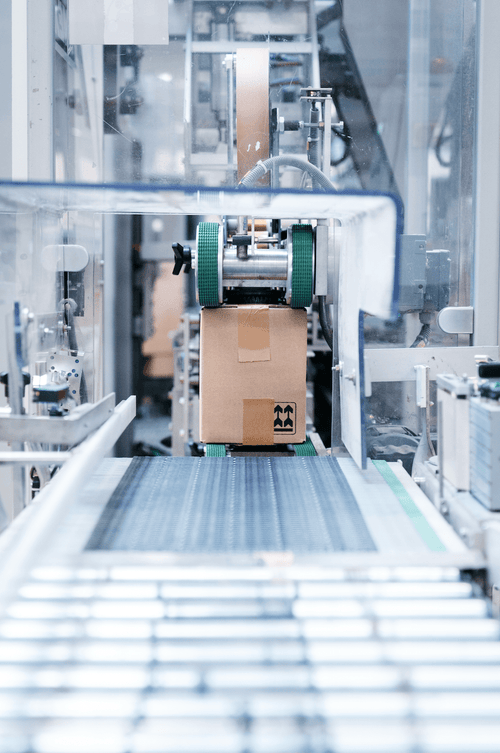 A7404829_EPERNON_fev2024_credit_photo_Touann_Gatouillat_Vergos - Mustela Brasil - 1