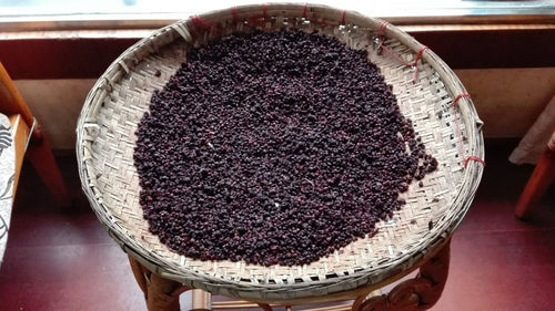 ABOUT-US_PAGE-SCHISANDRA_PHOTO-BLOC-3_SLIDE-2 - Mustela Brasil - 1