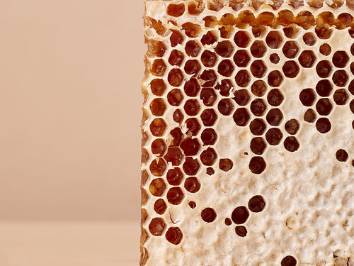 COLD_CREAM_1000X750_8059fcc9-b011-40f2-9a02-5823511c232d - Mustela Brasil - 1