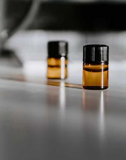 Capture_d_ecran_2024-07-15_a_14 - Mustela Brasil - 1