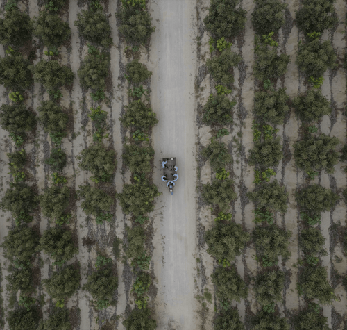 Champs-min_1 - Mustela Brasil - 1