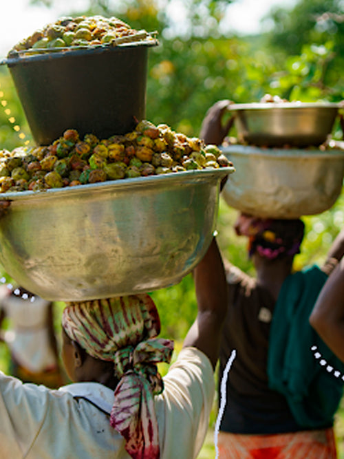 Imagem_1920x2560_copiar - Mustela Brasil - 1