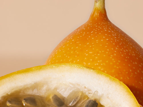 MARACUJA - Mustela Brasil - 1