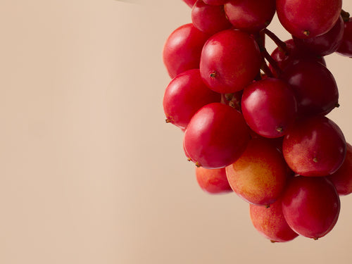 SHIZANDRA_HD - Mustela Brasil - 1