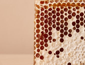 cire-abeille - Mustela Brasil - 1