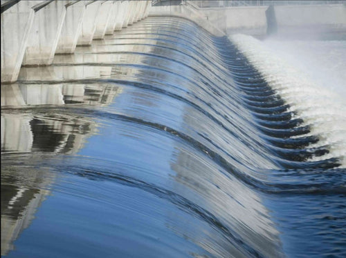 composition_et_production_3 - Mustela Brasil - 1