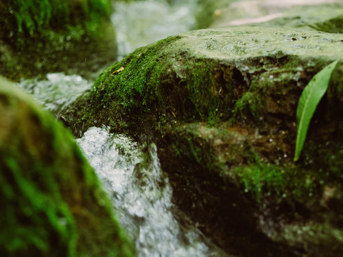 energy-consumption - Mustela Brasil - 1