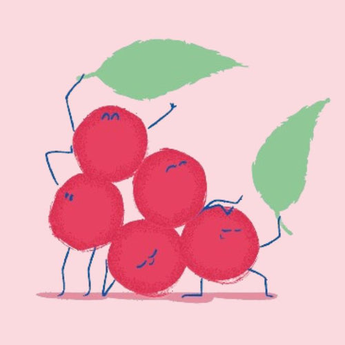 le-schisandra - Mustela Brasil - 1