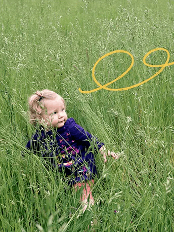 our_commitments - Mustela Brasil - 1